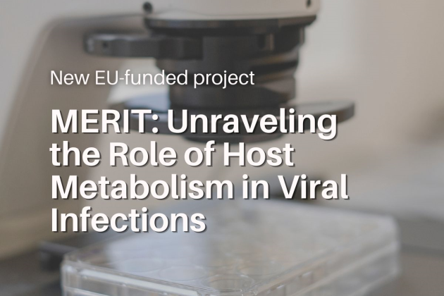 Project MERIT: Unraveling the Role of Host Metabolism in Viral Infections